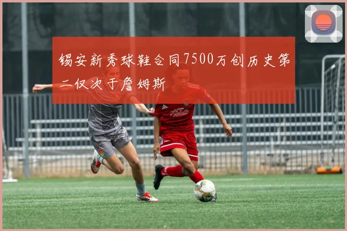 锡安新秀球鞋合同7500万创历史第二仅次于詹姆斯