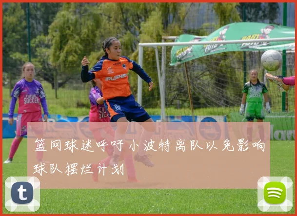 篮网球迷呼吁小波特离队以免影响球队摆烂计划
